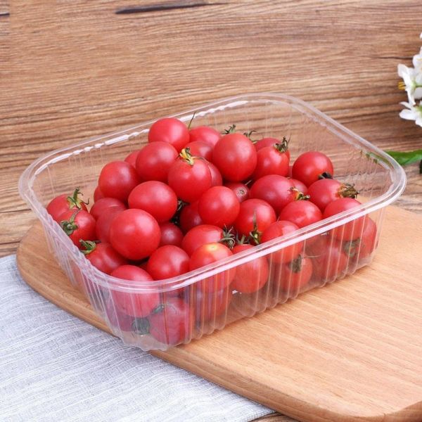16.5cm Disposable Vegetable Containers
