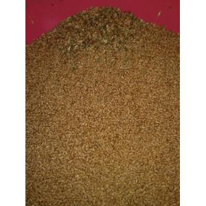 3t/h 4 Chutes Multi Grain Sorting Machine for Barley Wheat