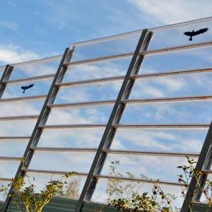 Custom Size Transparent Polycarbonate Sound Barrier Plastic Sheets