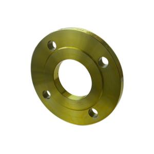 DIN2576 Flange EN1092-1 Type01 DIN2502 DIN2503 F304 F316 S235JR RST37.2