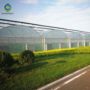 Multi Functional 4m Polycarbonate Film Greenhouse Side Ventilation