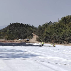 Wholesale Heavy-Duty Needle-Punched PET Geotextile for Ground Reinforcement and Separation in Challenging Soil Conditions from china suppliers