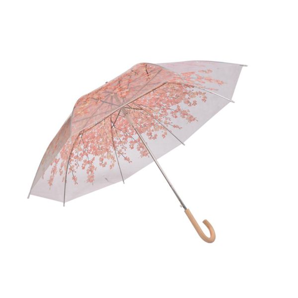 Outdoor Compact Transparent Rain Umbrella Plastic Colored Hook Handle