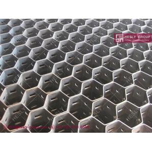 SS304H Hex Mesh Cyclones Body for Oil Refinery, Height 25mm, 50mm hex-hole, 1X2m