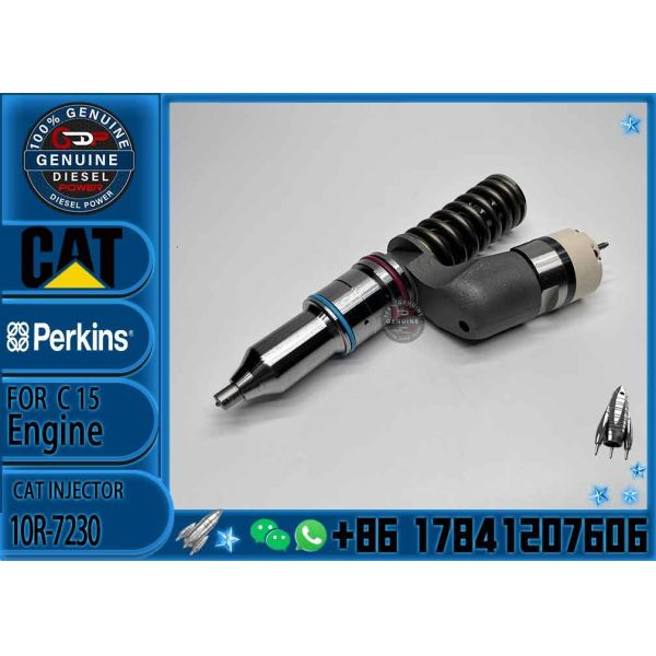 Fuel Injector 291-5911 10R-7230 317-5278 248-1394 253-0618 294-7615 For CAT Diesel Engine C15/C18