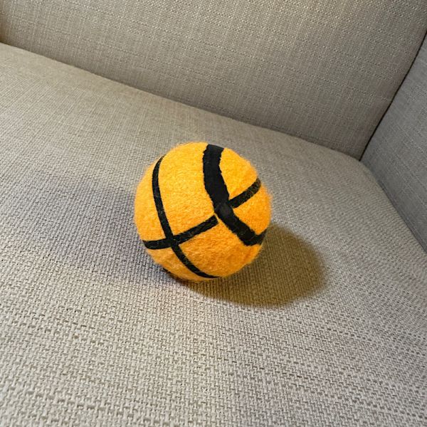 strong dog ball