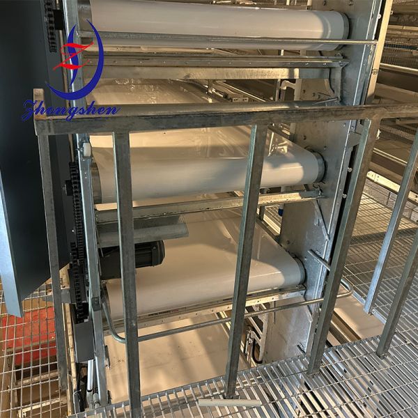 Quality PP Chicken Manure Belt Poultry Farm Automatic Manure Removal Manure Tape for sale