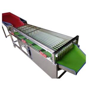 Apple Washing and Grading Machine apple Sorting Machine