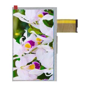 Wholesale 7 Inch 800x480 Resolution Tft Lcd Display Module With 24 Bit Parallel Rgb Interface from china suppliers