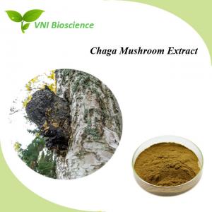 China 100% Natural Organic Plant Extracts Powder Organic Chaga Extract on sale