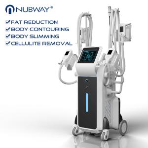 September promotion 4 handles Cryolipolysis new design slimming machine