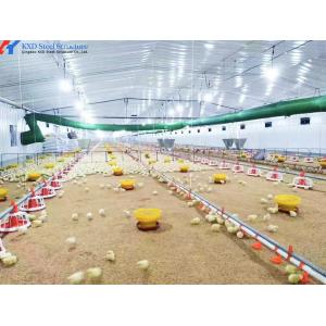 Customized Broiler Chicken Feeding Equipment With Automatic Drinking / Feeding