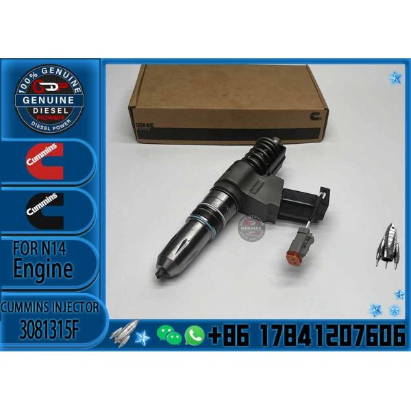 Auto Parts Common Rail Diesel Fuel Injector 3411760 3081315F 3409975 For Cummins QSN14 N14
