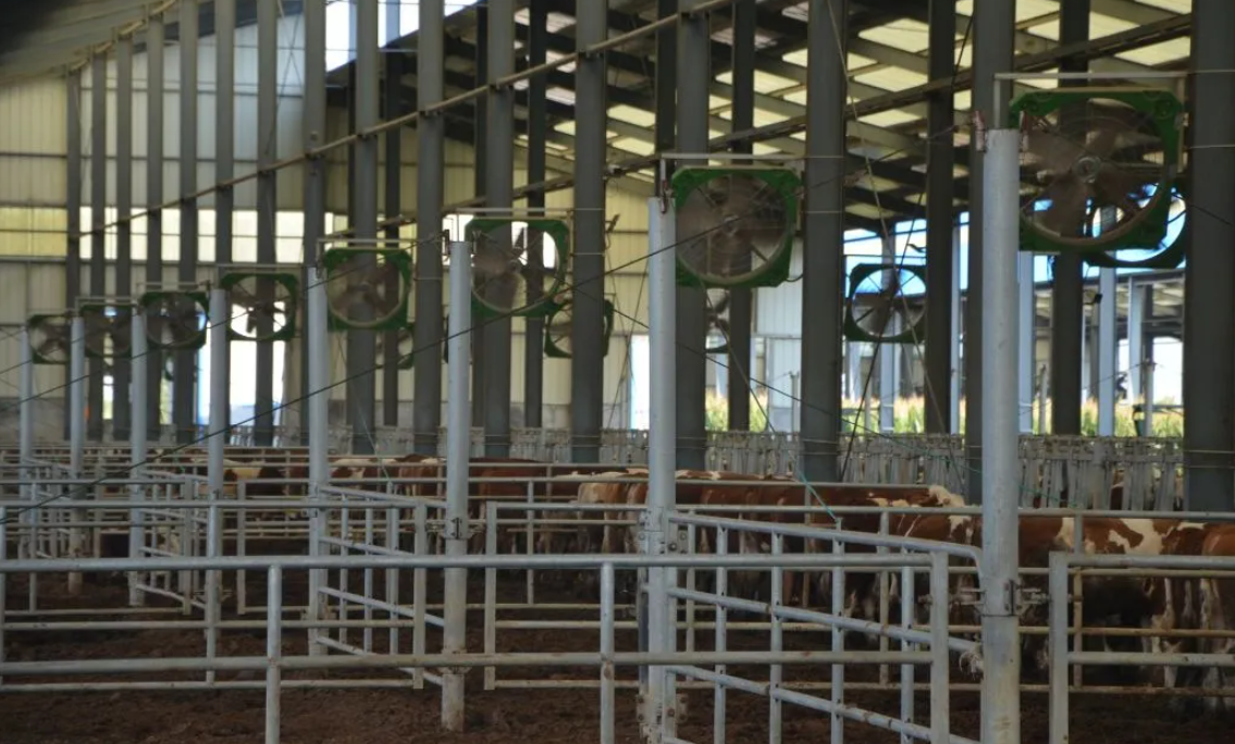 Modular Quick-Assembly Windproof Waterproof Low-Maintenance Steel Poultry House and Livestock Steel Shed