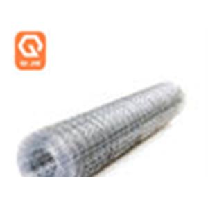 Electro Welded Galvanized Bird Cage Welded Iron Wire Mesh Multifunctional
