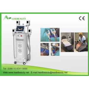 Wholesale 2017 innovative product fat freezing body weight loss machine for spa and salons from china suppliers