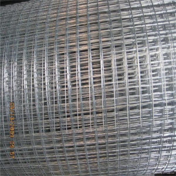 1/2"x1/2" 304 Stainless Steel Welded Cage Wire Poultry Netting, Galvanized