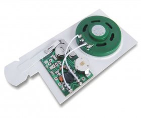 Custom MTP programmable Recordable Sound Module applied to the gift boxes