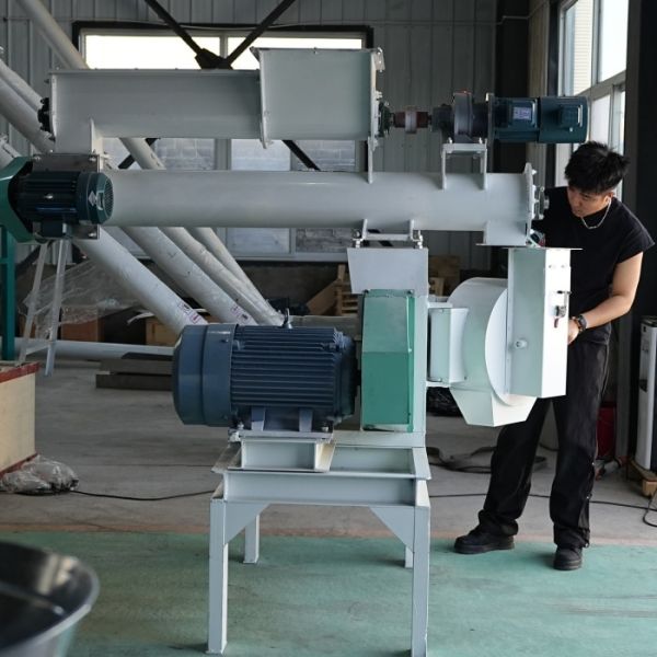 Small Automated Chicken Feed Making Machine Animal Feed Pellet Machine 350-450kg/H