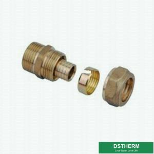 Equal Threaded Coupling Pex Brass Fittings Brass Color Customized Logo Screw