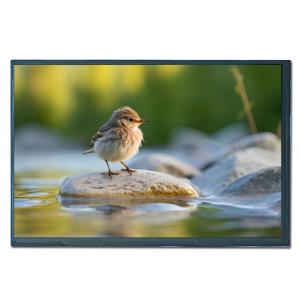 10.1 Inch Industrial TFT Display Module LCD TFT Touch Display