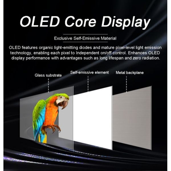 4K 55 Transparent Oled Display Interactive Touch For Exhibition Jewelry Luxury Display