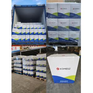 Savoury Flavour For Food Seasoning Onion KOMESZ Onion Flavor KMZ-SP10014 25kg