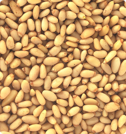 Peanut Color Sorting Machine For Seperating Pine Nut Kernels