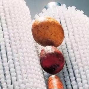 China Nylon Roller Brush For Fruit And Vegetable Cleaning Roller Brush on sale