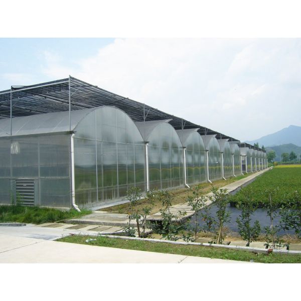 Bolting Connection Polycarbonate Panel Greenhouse , Durable Dome Shaped