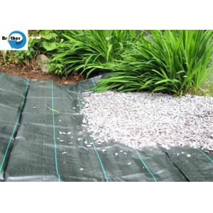Heavy Duty Landscape Weed Control Fabric with Precut 6" Hole Spacing Perfect