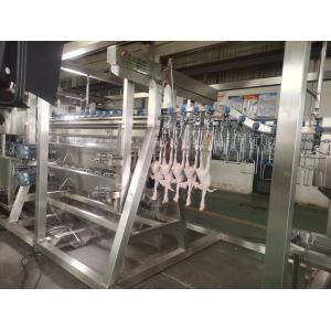 China Stainless steel 304 poultry chicken slaughter machine with capacity 0f