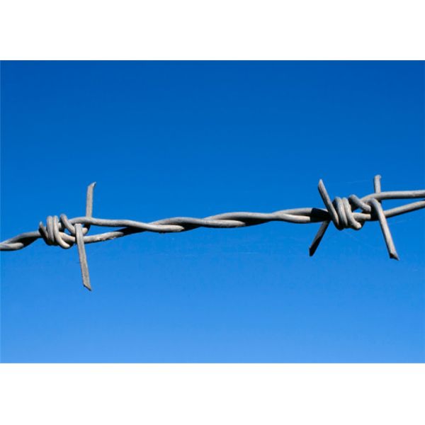 BWG12 BWG14 Fence Galvanized Barb Wire Roll