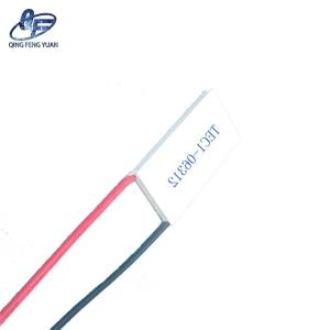 Thermoelectric Heater 20*40mm 6V Current 12A 50W Cooling TEC1-06312 Hot and Cold