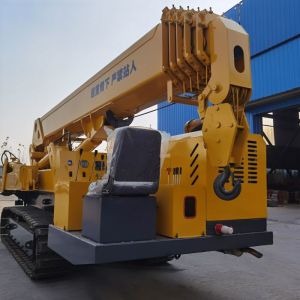 12ton Load Capacity Spider Crane with 22.5m Lifting Height and Wireless Remote