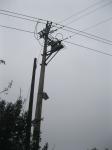 Short Circuit Earth Fault Path Indicator Detection System Device For Overhead