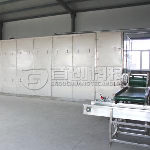 Continous Belt Pistachio Macadamia Dryer Nuts Beens Drying System